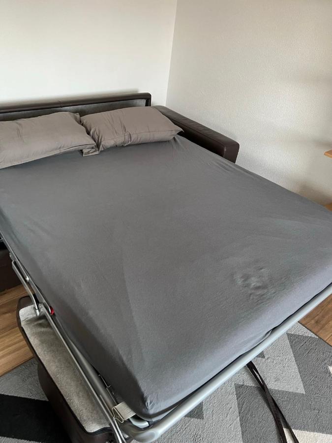 Super Appartement Colmar Centre 外观 照片