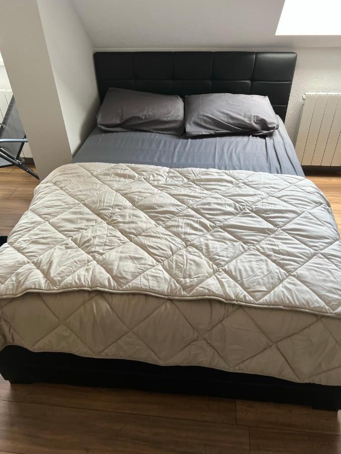 Super Appartement Colmar Centre 外观 照片